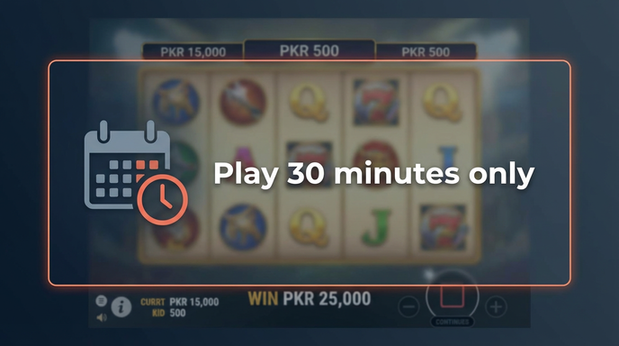 Payment and PKR controls in miwin - 6